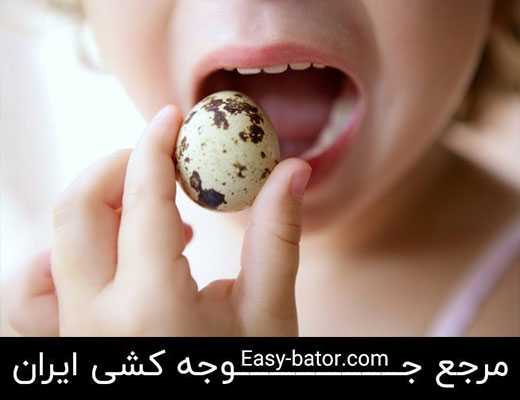 خواص تخم بلدرچین برای کودکان