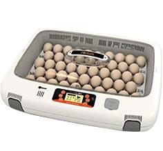 rcom egg incubator