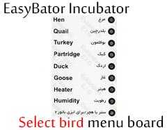 easy bator 1 Bird Selection