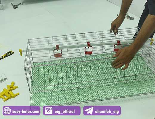 اتصال دانخوری اتصال دانخوری