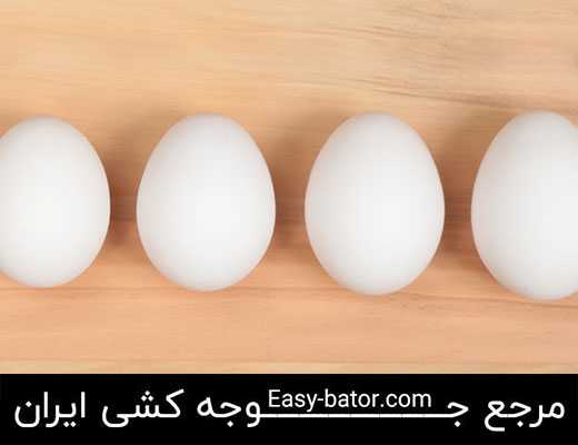 اندازه تخم مرغ اندازه تخم مرغ
