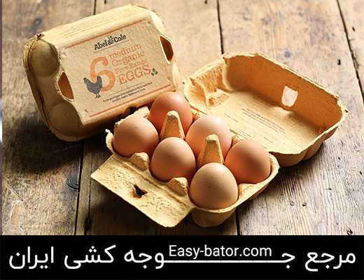 تخم مرغ ارگانیک تخم مرغ ارگانیک