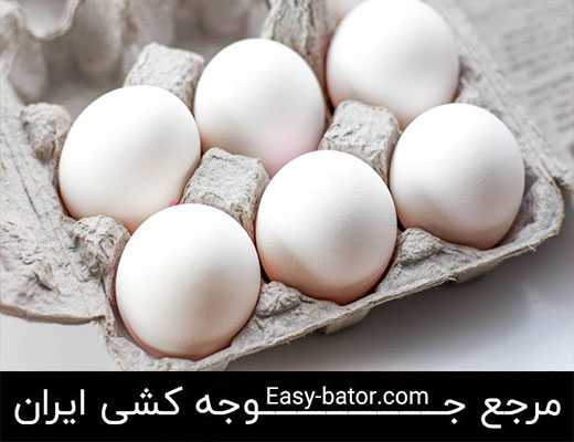 تخم مرغ سفید تخم مرغ سفید