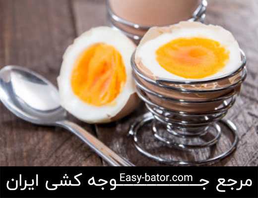 تخم مرغ غنی شده تخم مرغ غنی شده