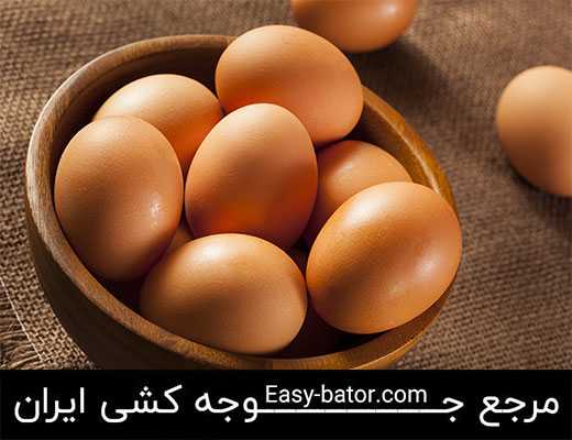 تخم مرغ قهوه ای تخم مرغ قهوه ای