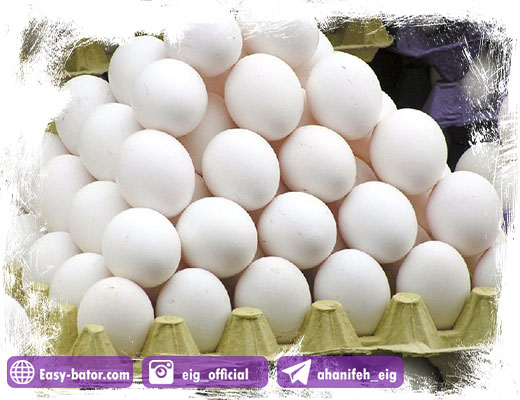 تشخیص تخم مرغ سالم تشخیص تخم مرغ سالم