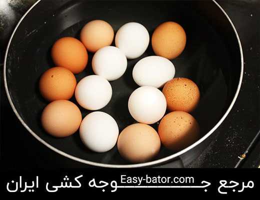 تخم مرغ سفید و قهوه ای