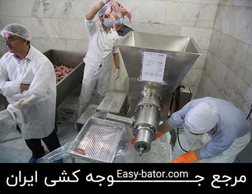 تهیه خمیر مرغ سوسیس و کالباس تهیه خمیر مرغ سوسیس و کالباس