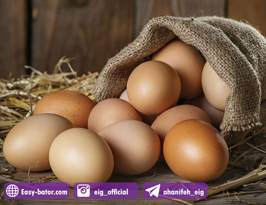 جمع آوری تخم مرغ ها جمع آوری تخم مرغ ها
