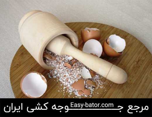 خواص پوست تخم مرغ خواص پوست تخم مرغ