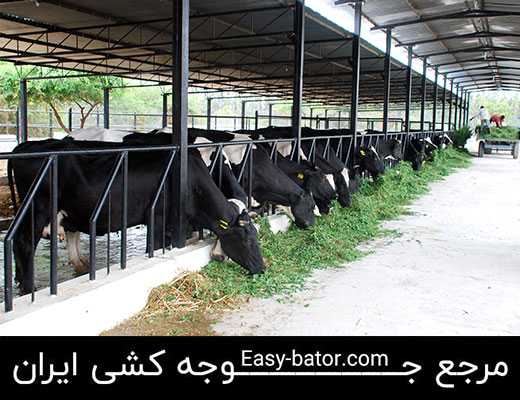 مه پاش گاوداری مه پاش گاوداری