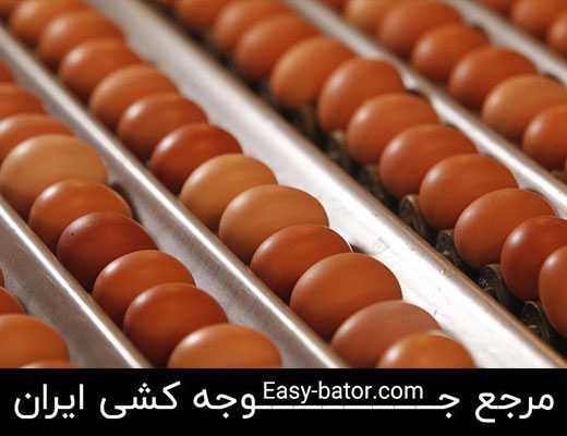 نگهداری تخم نطفه دار نگهداری تخم نطفه دار