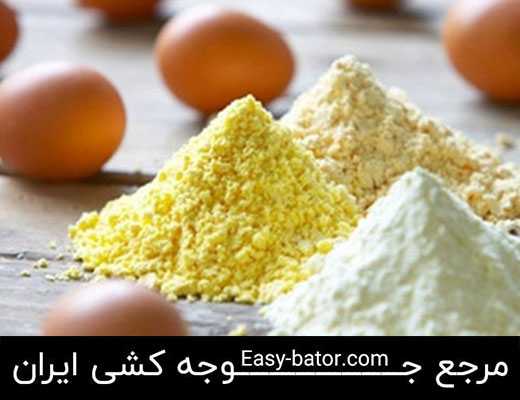 پودر تخم مرغ پودر تخم مرغ