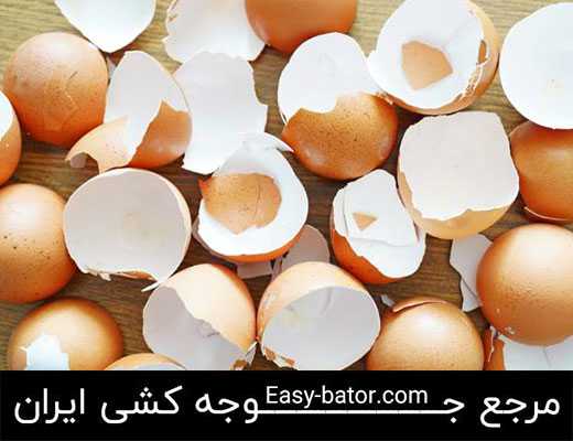 پوسته تخم مرغ پوسته تخم مرغ