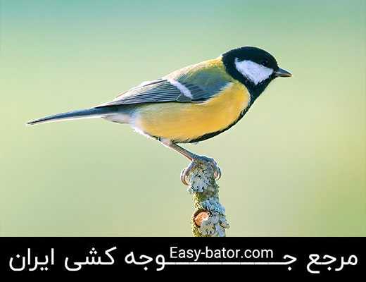 چرخ ریسک چرخ ریسک