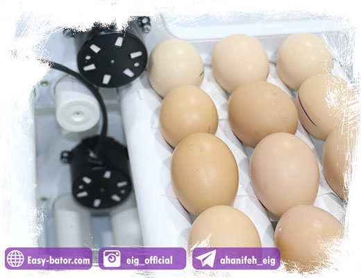 چرخش غلطکی خم ها چرخش غلطکی خم ها