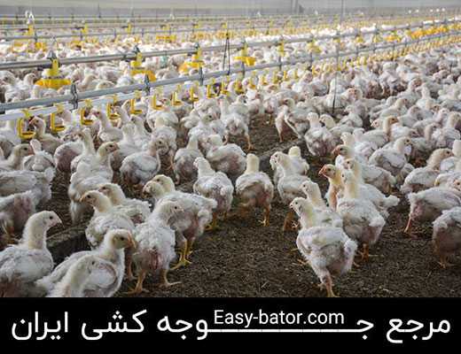 سیستم گرمایش از کف سیستم گرمایش از کف