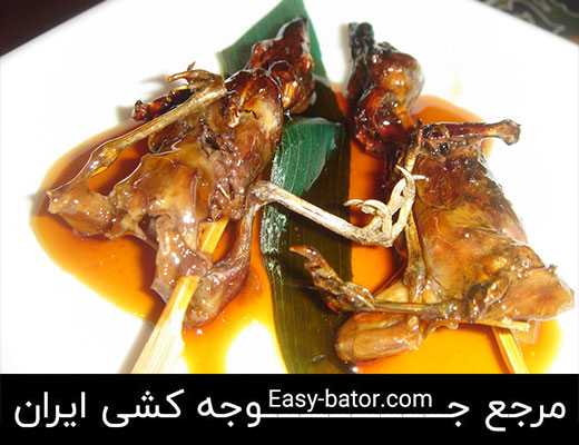 خواص گوشت گنجشک خواص گوشت گنجشک