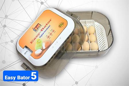 cheap egg incubator machine