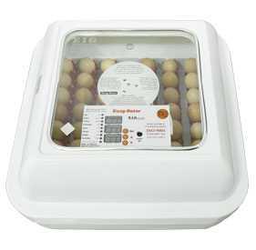 48 egg incubator device